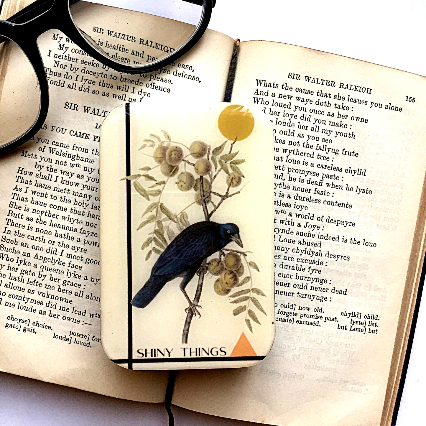 Firefly Notes Shiny Things Notions Tin