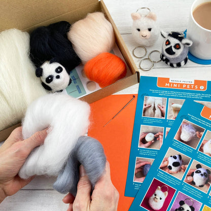 Bergin & Bath Needle Felting Kit: Mini Pets